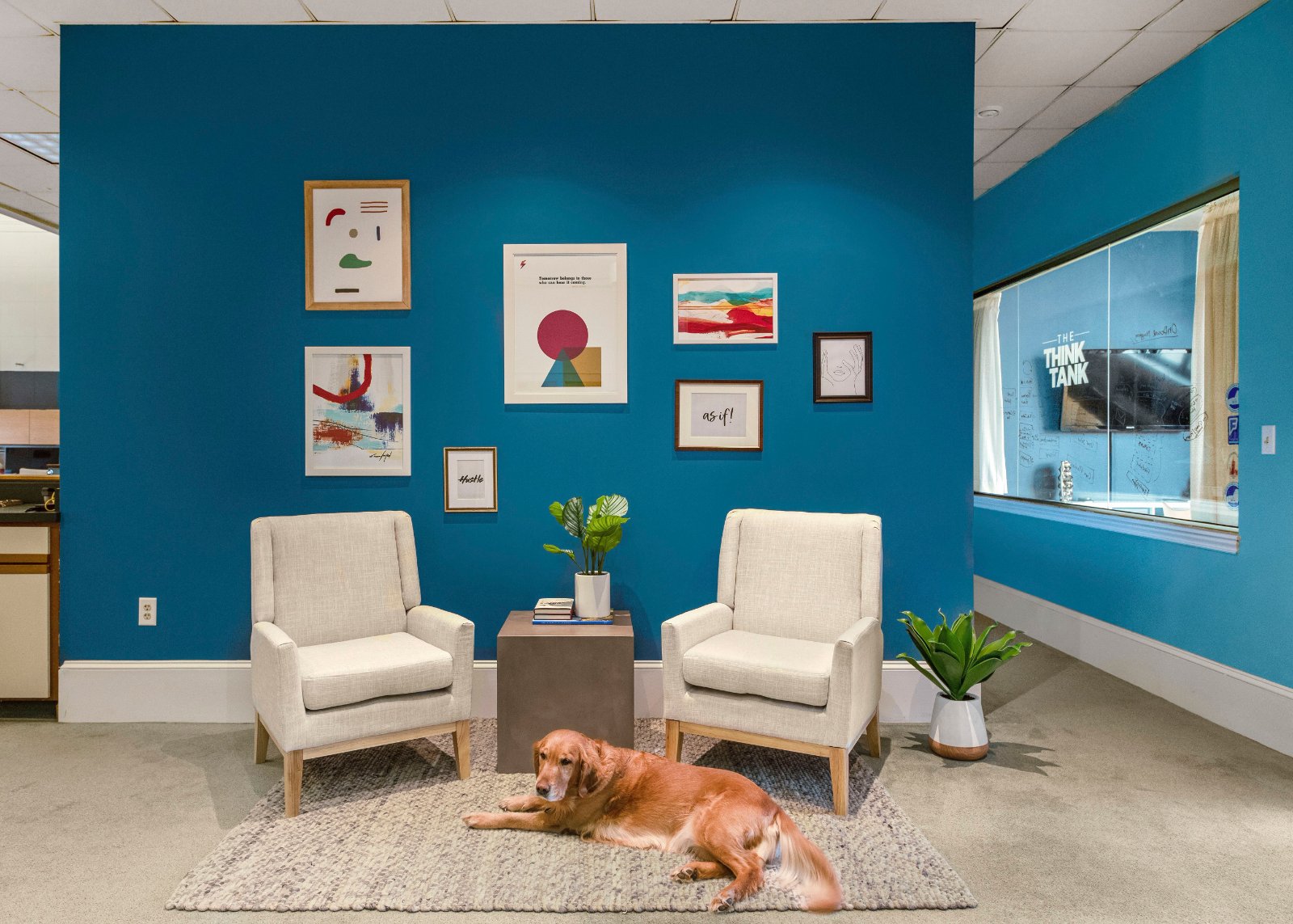 Gallery photo
